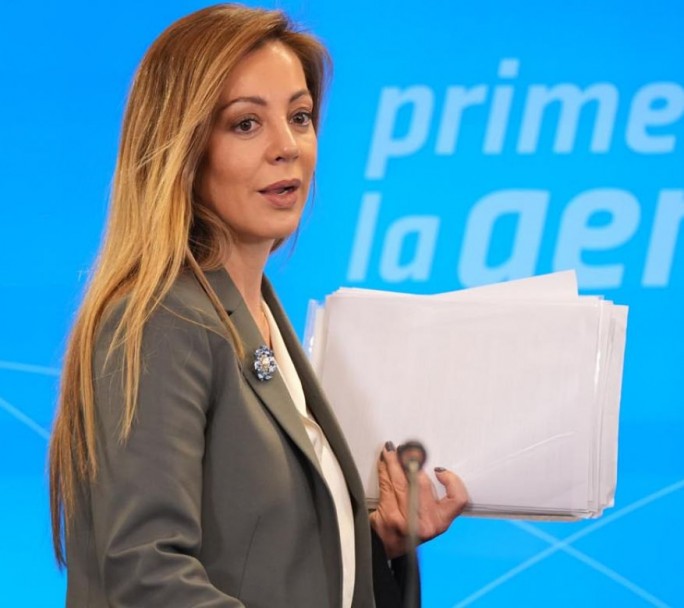 Intervención de Edesur: Royón explicó que "no es una estatización"